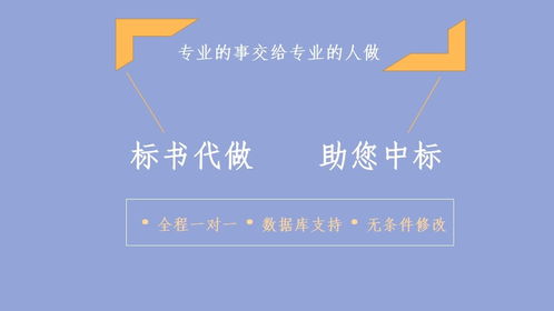 成都專業項目計劃書撰寫、報告定制與項目策劃公關一體化服務指南
