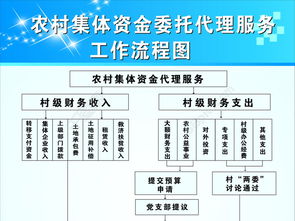 農(nóng)村集體資金委托代理服務(wù) 規(guī)范化流程與項(xiàng)目策劃指引